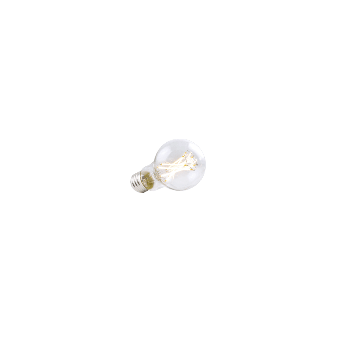 A19 9W FILAMENT DIM.