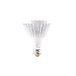 195PAR30HO277V-standup