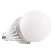 A23 LED 25W 277V