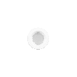 6 SLFT - Back