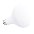 9BR30DIM-tumb-logo