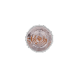 L233 MR16 10D-top