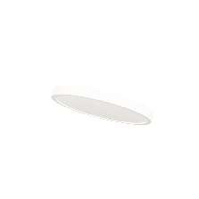 3N1-12inch-1tumb