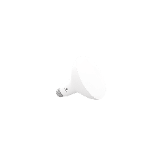 BR30DIM-tumb2