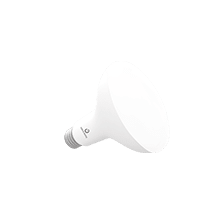BR30DIM-tumb2