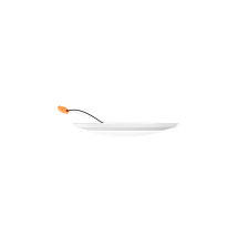 SlimDisk thumb